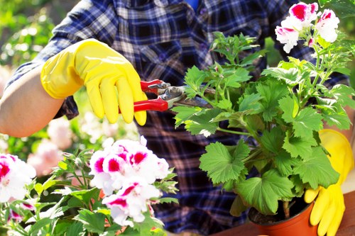 Team trimming a street-facing hedge in Uxbridge