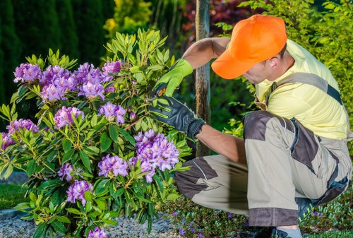 Professional hedge trimming service in Uxbridge