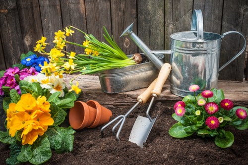 Hardscaping elements like paths and patios