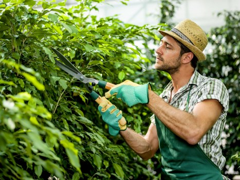 Operator checking hedge trimmer equipment before starting work