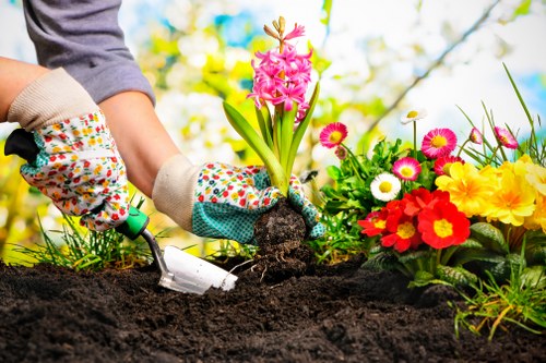 A close-up view of a gardener's hands wearing colorful, patterned gardening gloves, using a small trowel to plant a pink hyacinth flower into dark, moist soil in a well-maintained garden. To the right, there is a vibrant array of flowering plants with yellow, white, red, and pink blossoms, including daisies and primroses. The garden features a lush, green lawn in the background, with a mix of mature trees and shrubs, suggesting a landscaped outdoor space typical of a suburban garden in Uxbridge. Sunlight filters through the trees, creating a bright and inviting atmosphere suitable for gardening activities, which aligns with services offered by Hedge Trimming Uxbridge for lawn and garden maintenance in the local area.